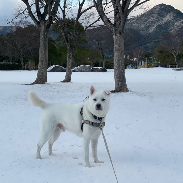 7f06a274 87db 4703 9ebe a91e309c913c 1736466339273