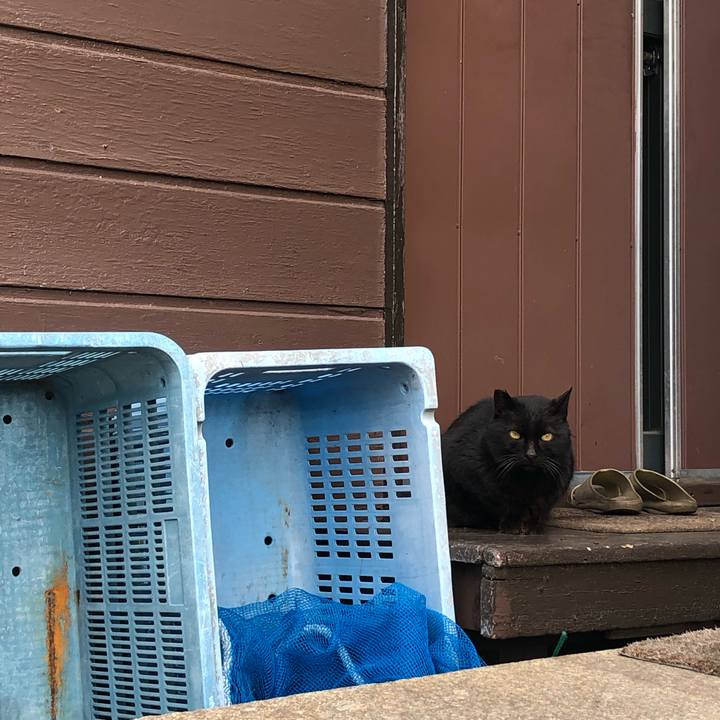 7f06bb08 8ec3 4428 8d3c 085d709b4c7b 1645975001911