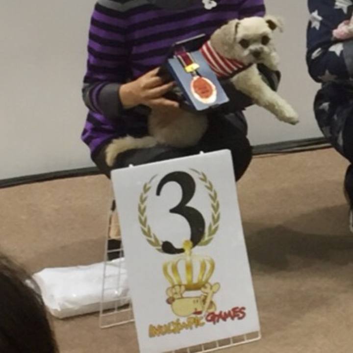 7f06c0e3 cb5e 4782 b23c 779cfb0b12dd 1522411947237