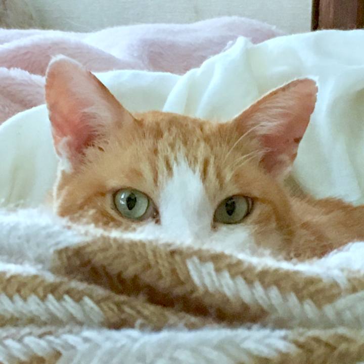 7f0714ca 403a 4792 858c 2882d67175ab 1568606511566