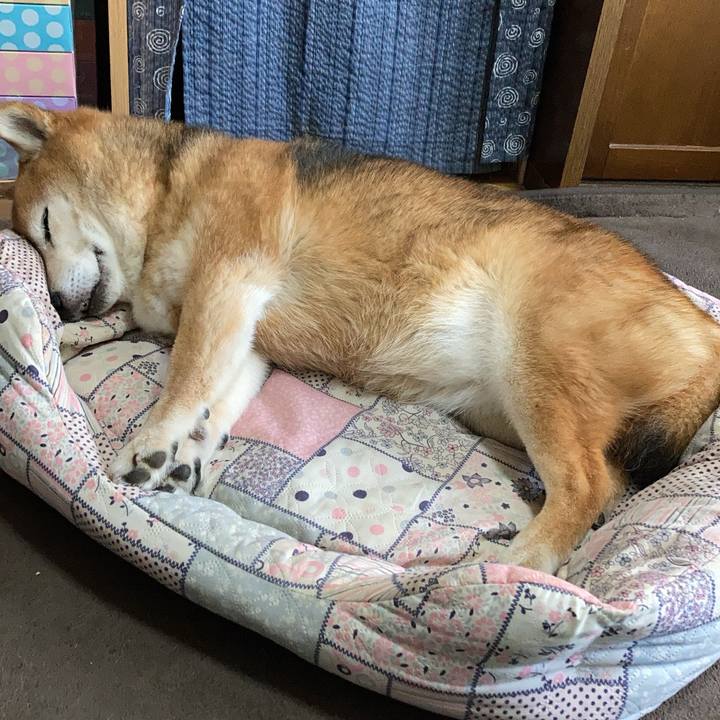 7f077322 dc9f 4da9 8eb5 32f8d3376e60 1715245695321