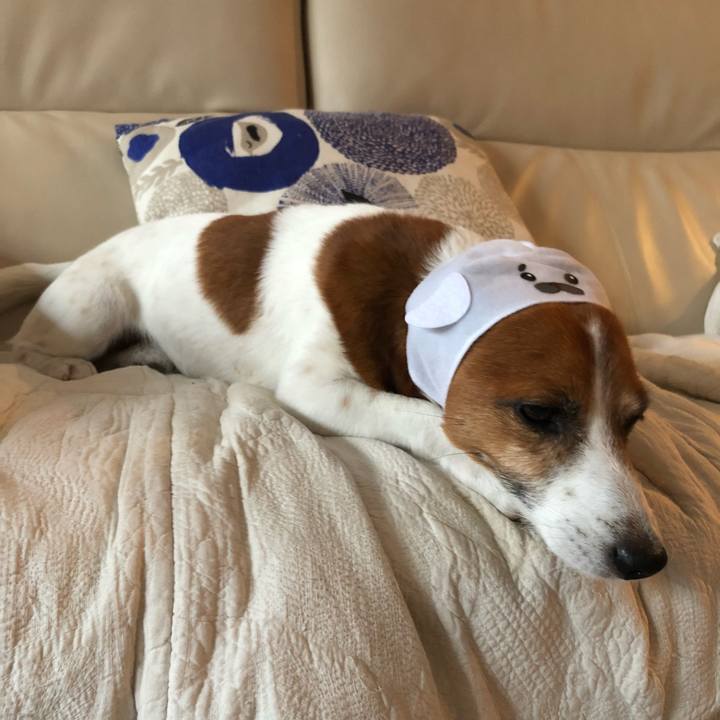 7f0775cd 05ea 4363 a217 52f1358e241f 1538451191718