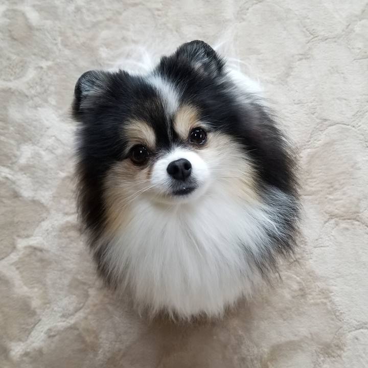 7f07c617 f6fd 4b30 a434 e6a4369da6d6 1605136271814