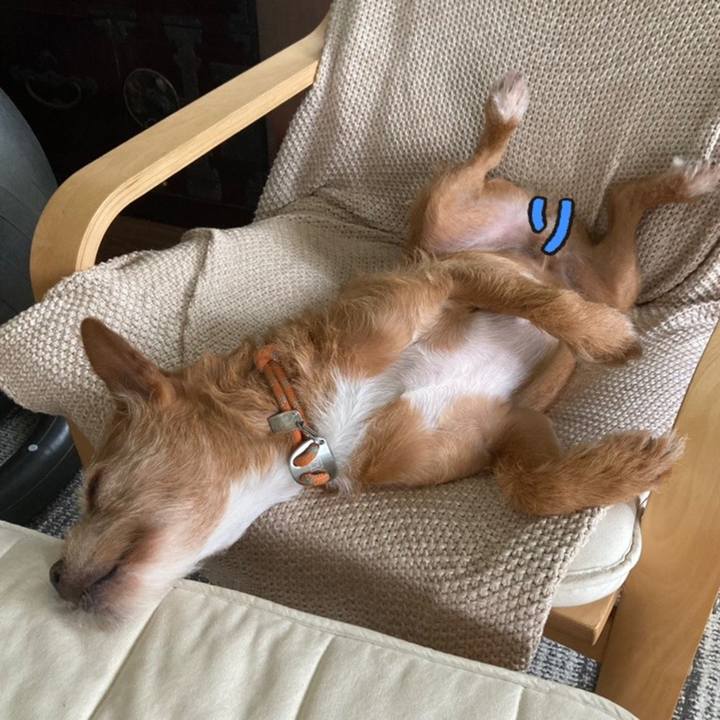 7f07dafb a1a2 4212 9079 e7f9fce290c9 1661577963337