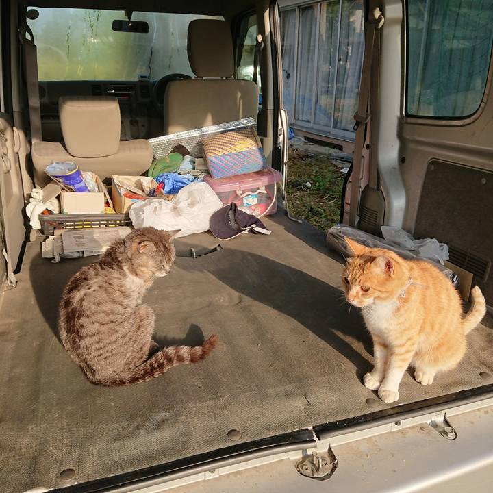 7f07deac 6ac8 4aab 89bf 015687863ad7 1591218418657