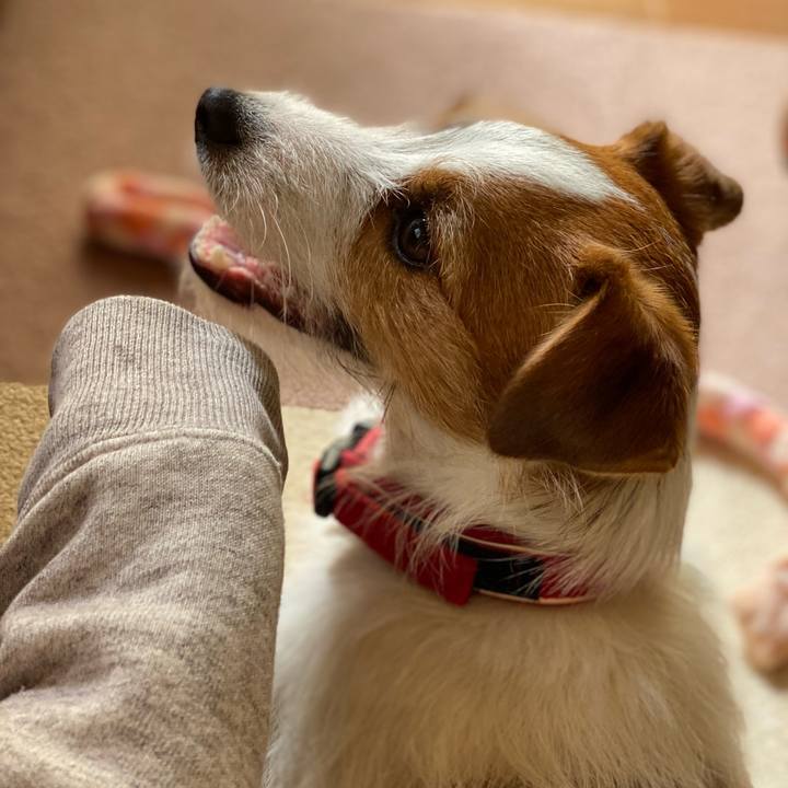 7f07e5f2 4019 403d 8984 9fa9a8f68c33 1646015091931