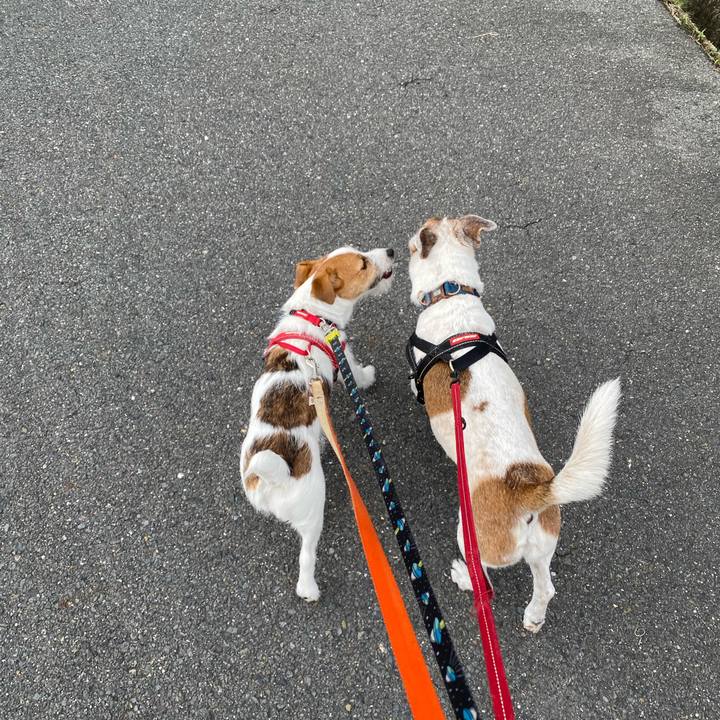 7f07f32e 65b4 47c2 b37d 53d7d9730414 1621643264607