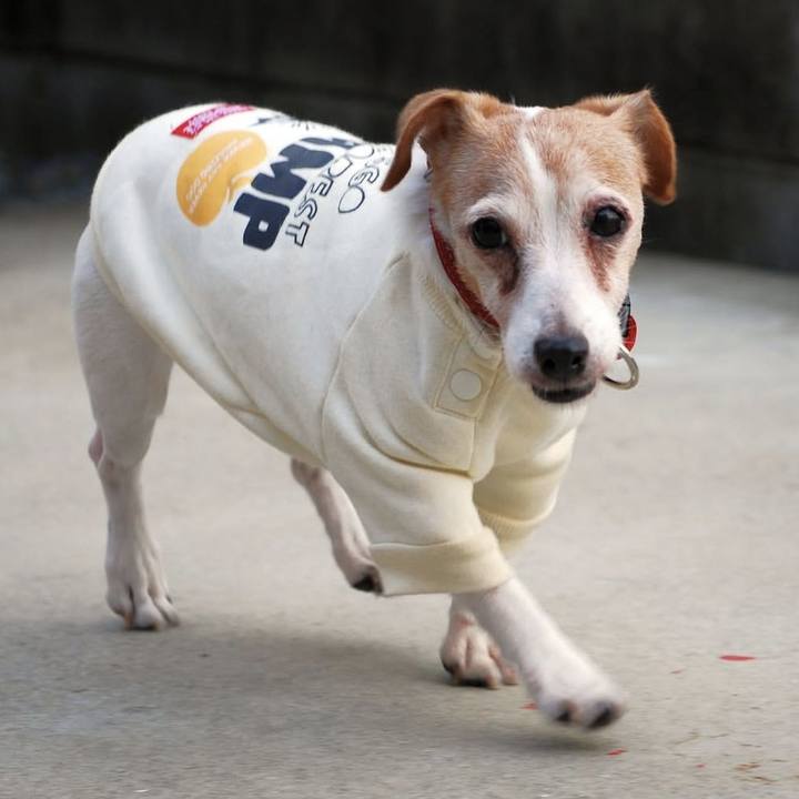 7f08b70c f7a7 4336 b2fd b5d637749ee0 1761975766360