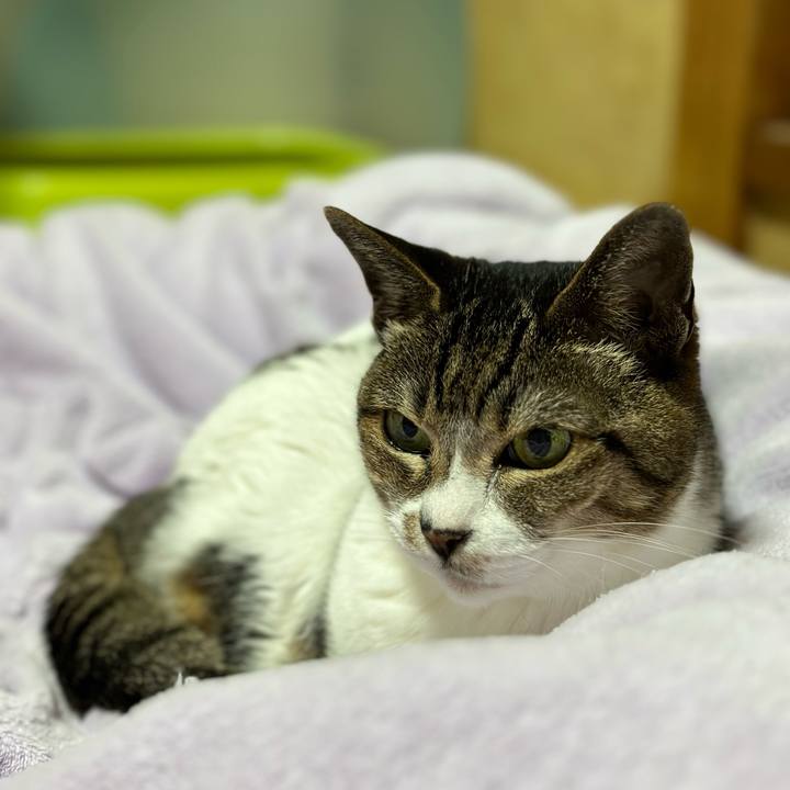 7f08bdcf 1710 40de 9a0c 36b1abb69eda 1682726853666