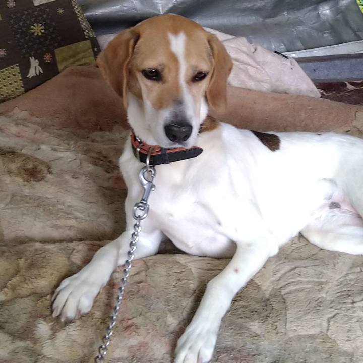 7f08bf22 da9a 4f48 a90b 3aac5f906d0a 1652605904222