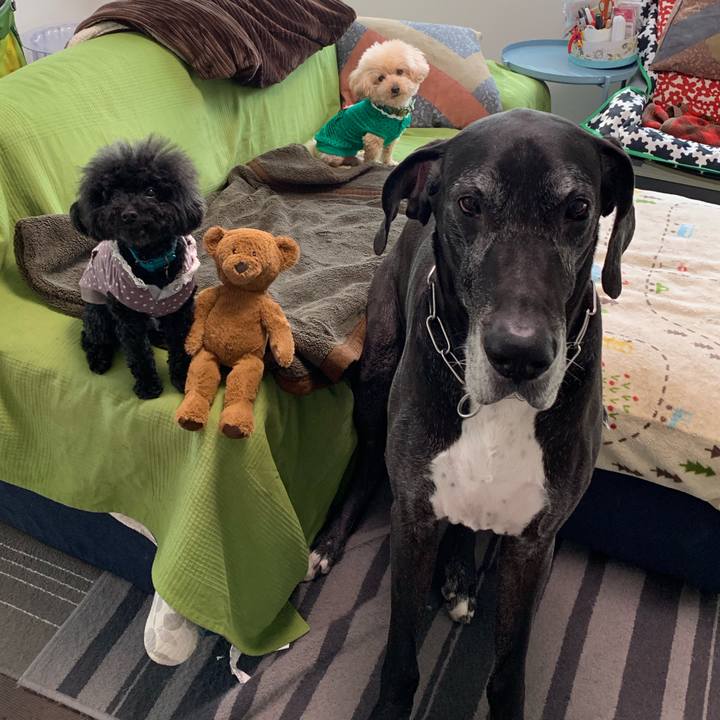 7f08d025 dbe2 4cd1 a49d 32a82836a16a 1555627380507