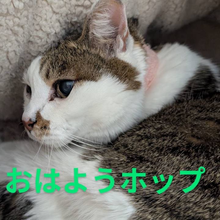 7f08db7f 132c 42df a99c 1fa8da05c92e 1739217235060