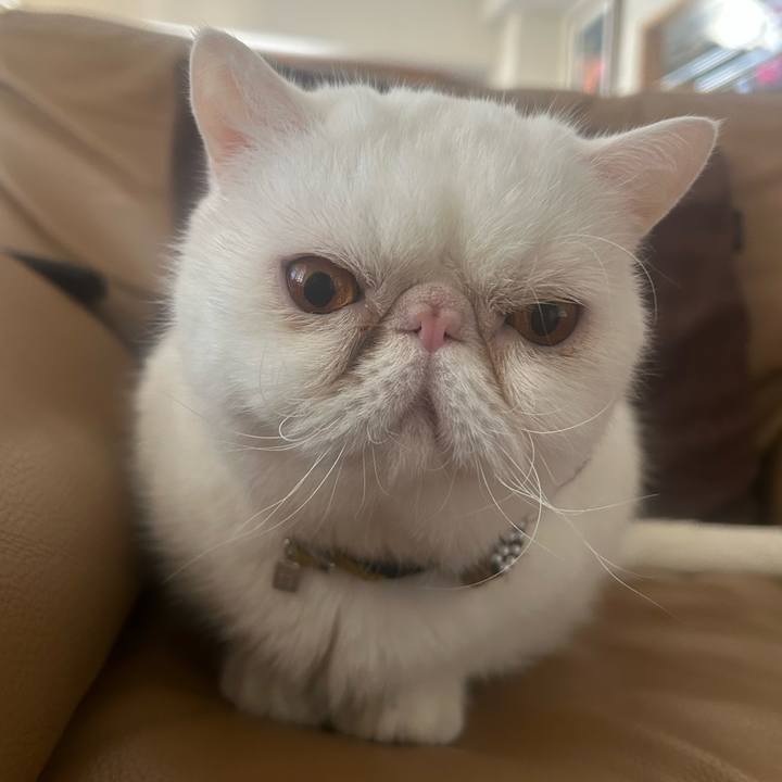 7f08e54e 46b2 4bba 9b5e 67ca8256fb07 1763815352129