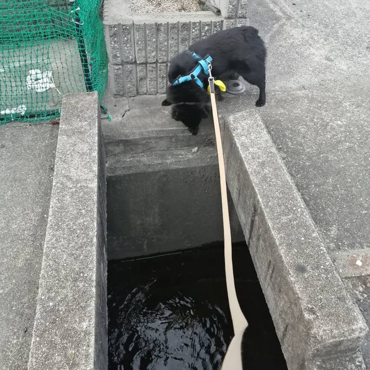 7f091e3c 0f1d 48b5 89bb 500512e81982 1661808219337