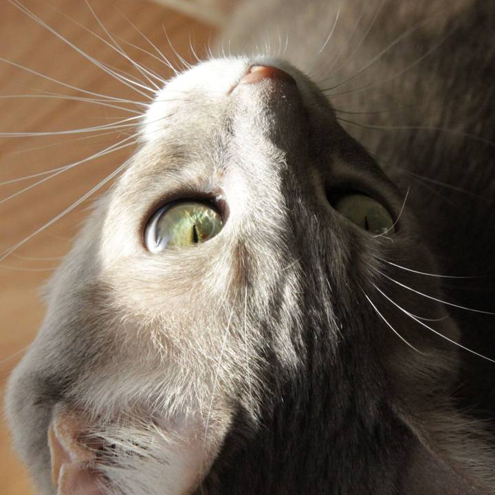 7f092606 1434 49ef b400 57b5a160b06a 1678161778676