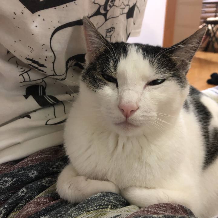 7f092779 2746 4389 a3c9 f9f3b63ff5ed 1625842746180