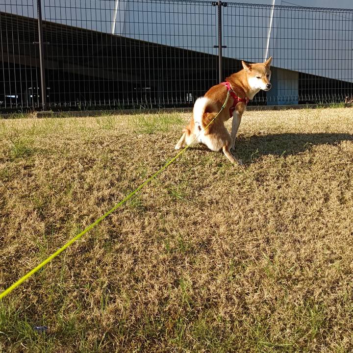 7f092a89 aac3 4547 b5c6 f4fab57e90a1 1744932705579