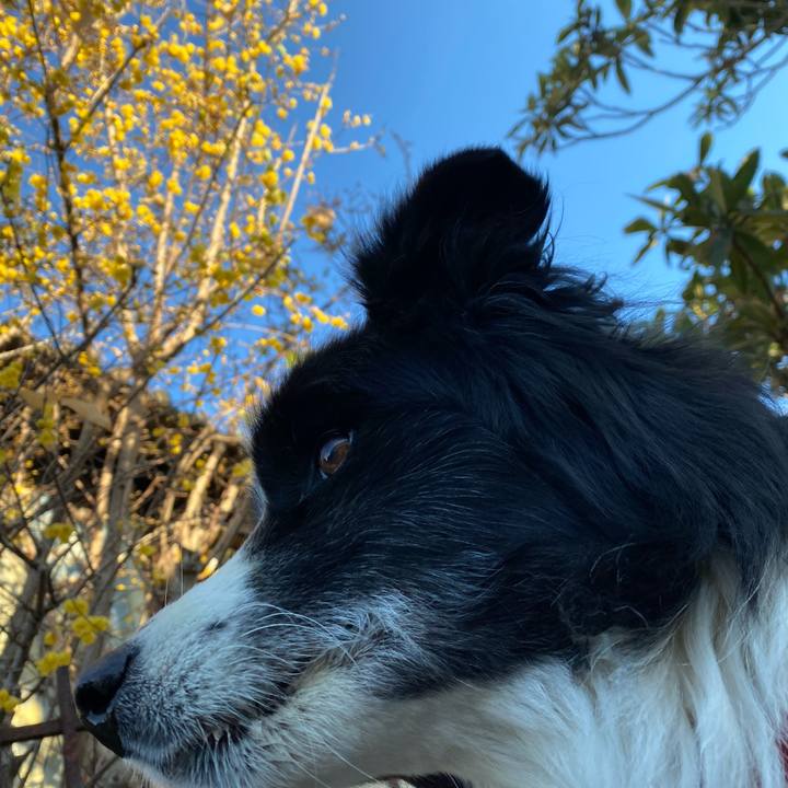 7f09364a ecfa 4809 bb5a e60233f56801 1642551613356