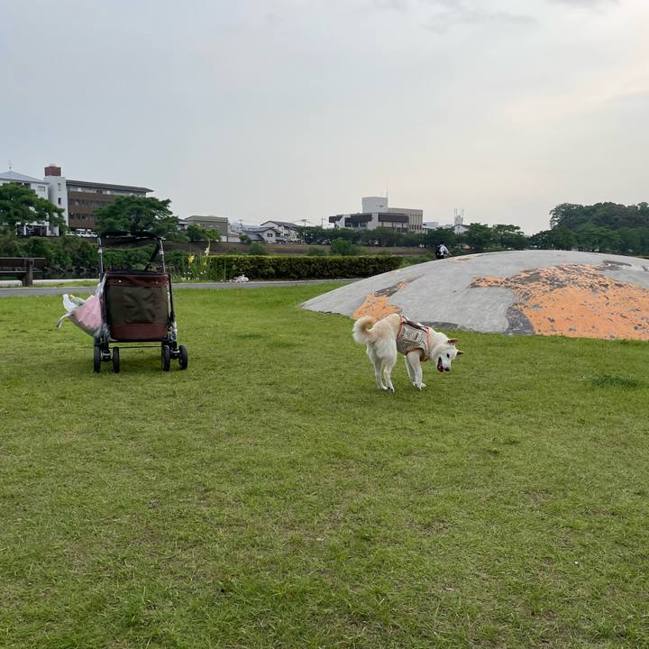 7f09443d 3f89 4ace b75f 1f2dbd58a511 1655466389137