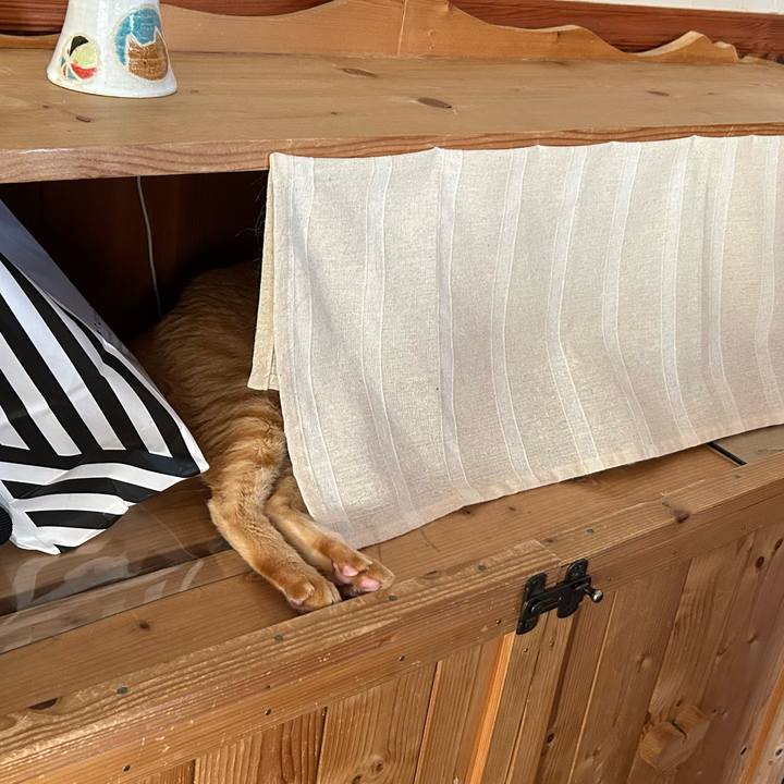 7f096291 500a 455d 8a0d 93340648e1d7 1691192013163