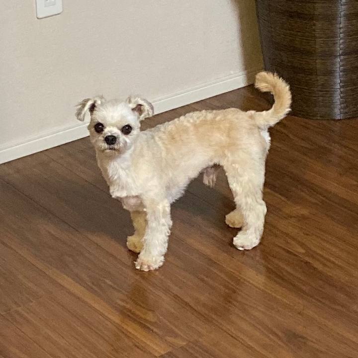 7f098828 89a2 43fe 9974 cb73e0e735af 1571494254484