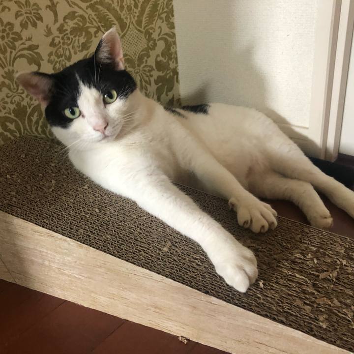 7f098f27 668d 4849 b23f 444bbbf72fd7 1566772422075