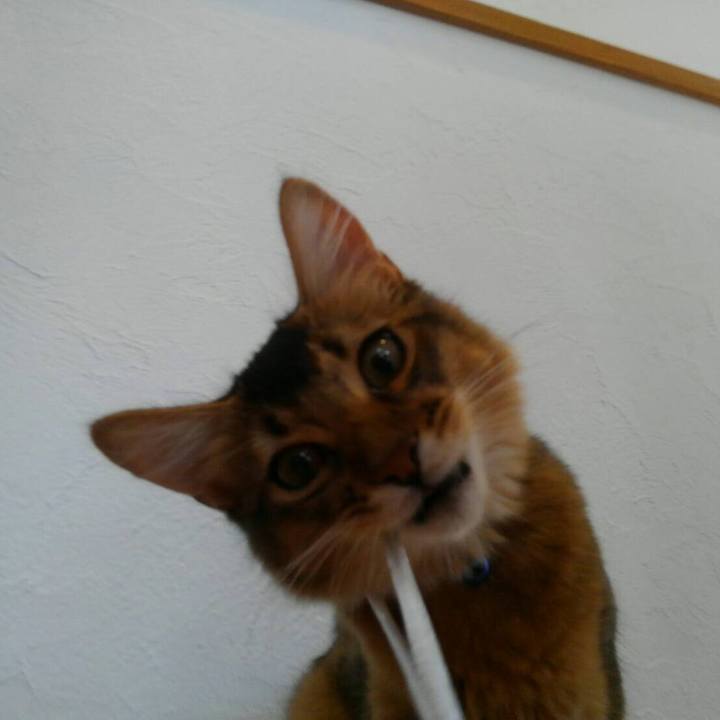 7f09a817 6556 4e8d b773 3647641ae83b 1564289667654