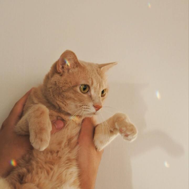 7f09c075 5191 403d a533 a66ffa4ea0b1 1718709267231