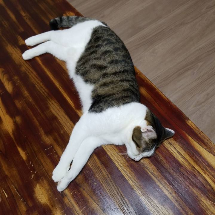 7f09cac1 4adf 427a 83f1 0fc361591306 1566422490447