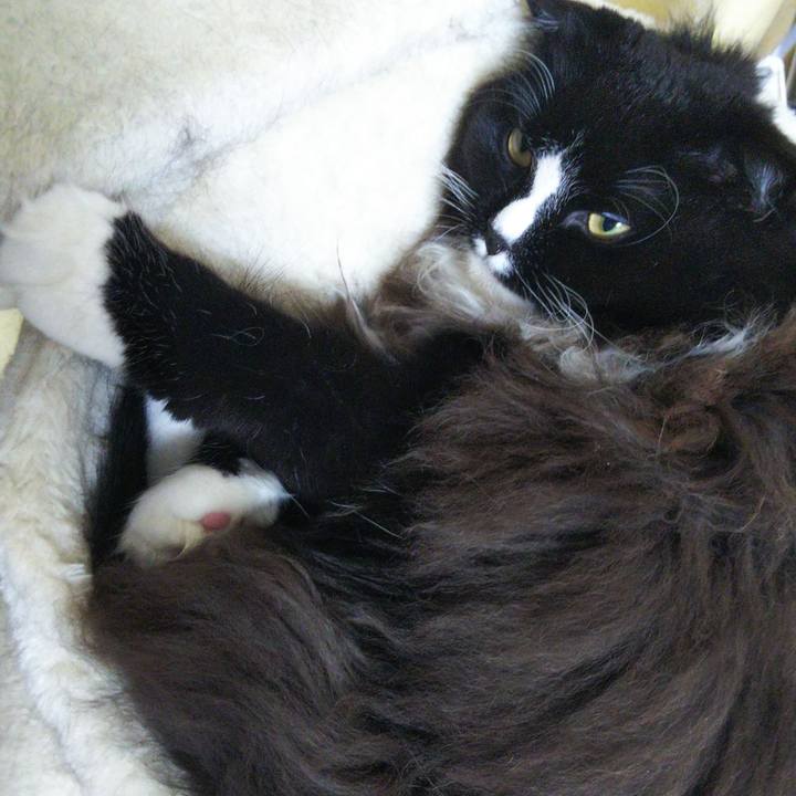 7f09e8cd bea3 4ad0 aff9 109bbf210f32 1663834387582