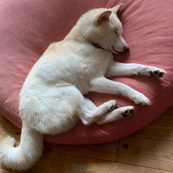 7f09ea92 1ea1 4ac5 8e74 4d3261b682b3 1633923710561