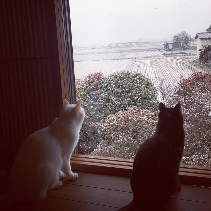 7f09f698 cf94 4abd bab2 aa401dedbf55 1518477401712