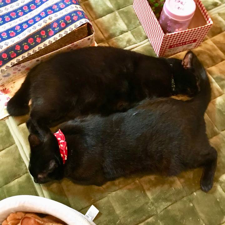 7f0a3bb2 8db6 4f42 901e adb3750a9ee8 1508149730333