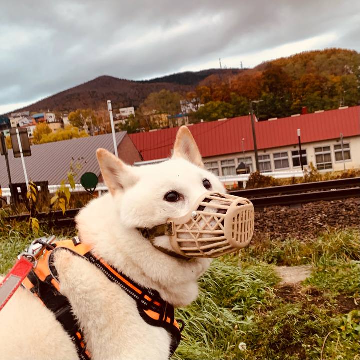 7f0a3e2b 4185 4a75 b070 2e6baf6b9a22 1635976978667