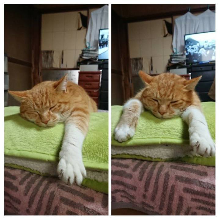 7f0a4bb3 ab1a 473d a40b 621150970e89 1607825900787