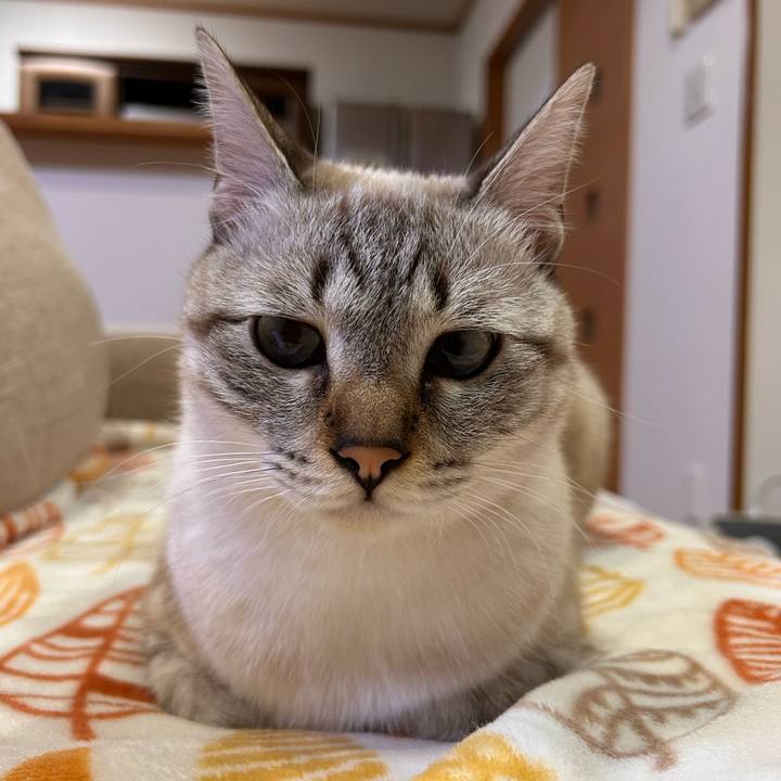 7f0a76fe dbb0 4802 b24a 774b61ba13f0 1763638164488