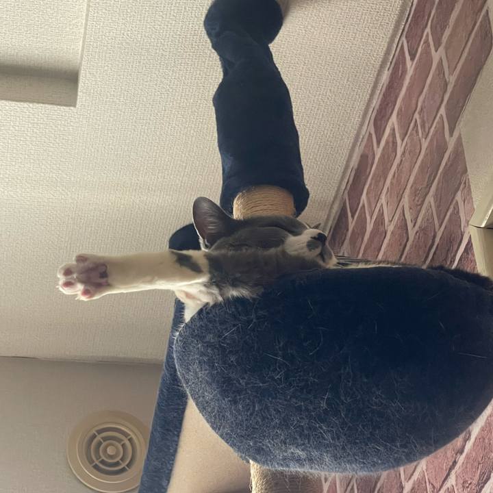 7f0a801a b580 487d a95a 6bea106f0620 1711780439786