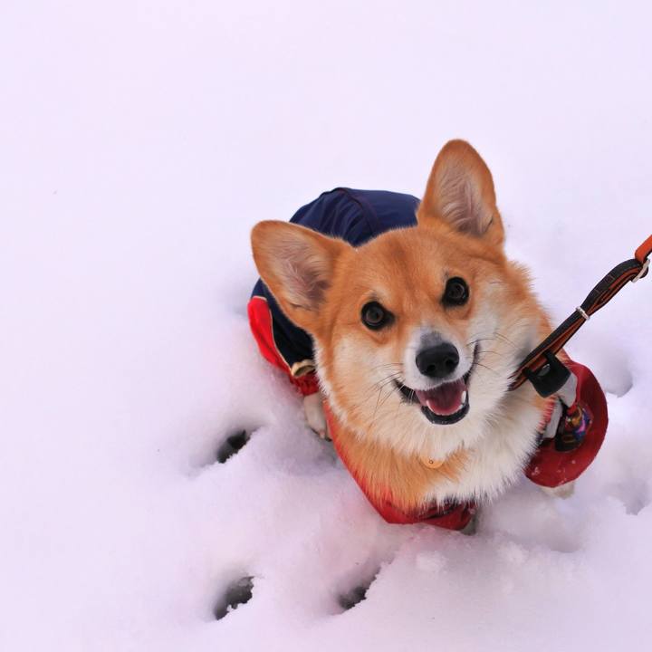 7f0a80e1 3dc5 4140 a90d 030025d6bf88 1572093241690