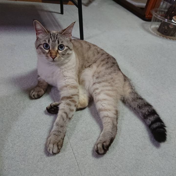 7f0a8e1c b332 41fe 93e8 6af28404e36a 1591354327563