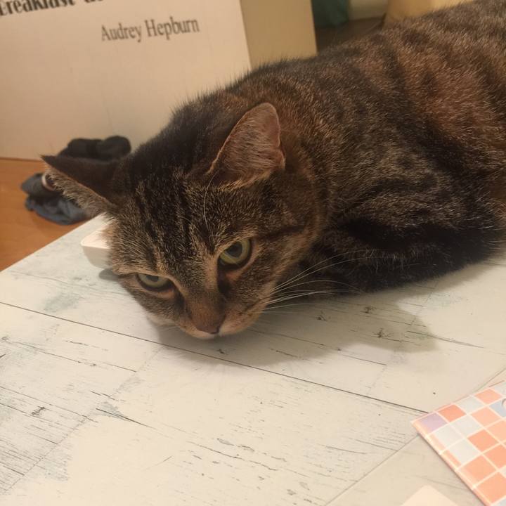 7f0abc2c be87 438e 8697 7fab8b8e7a53 1566149016809