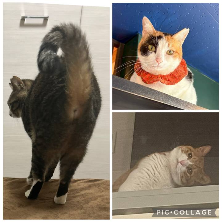 7f0af929 bd3f 4152 bd44 958c82e74c87 1768291921089