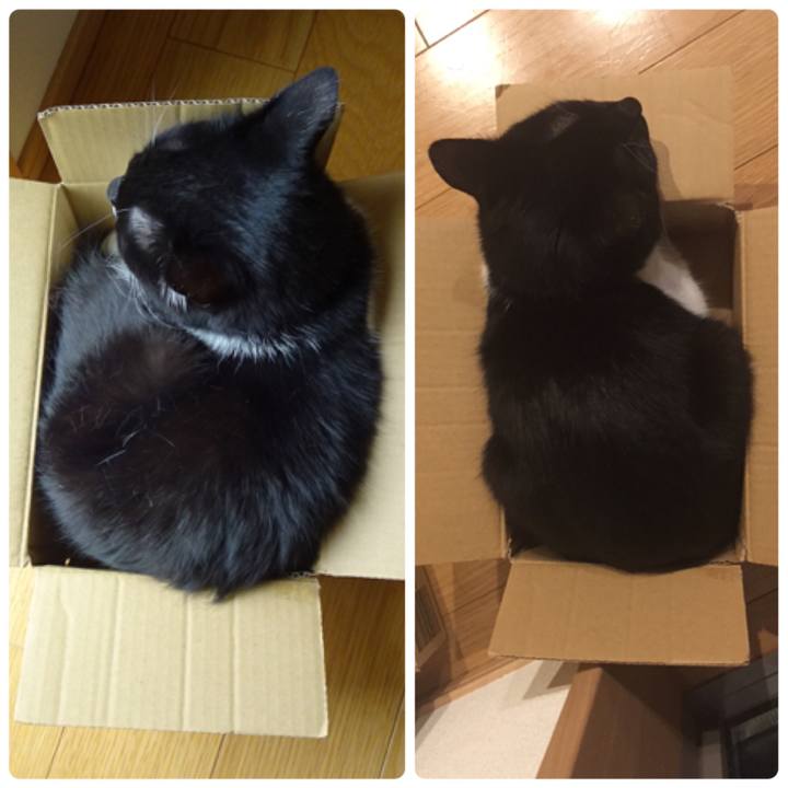 7f0afcf6 fefe 486d a424 87818082e9fe 1525953237111