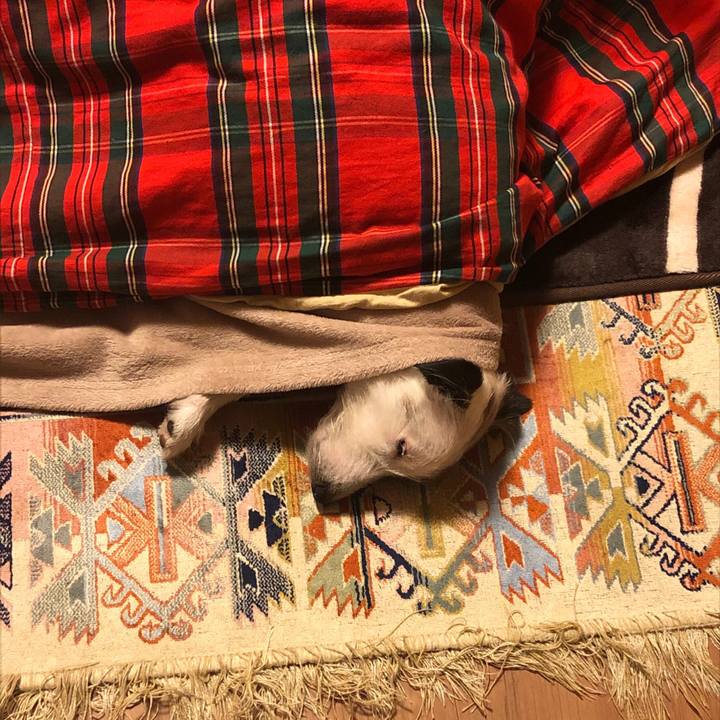 7f0b1172 94c1 4fc9 bb5c 9193f4a8a108 1583672722820