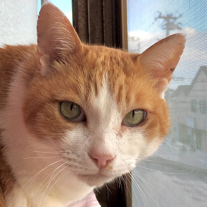 7f0b126f 5c38 4be1 bafa 0b3dcc680fca 1582880328012