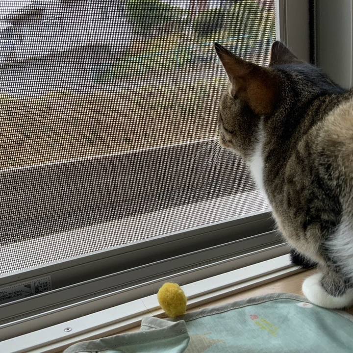 7f0b2150 1dbc 42ba b07c 0f2cd3bfb3aa 1678400021519