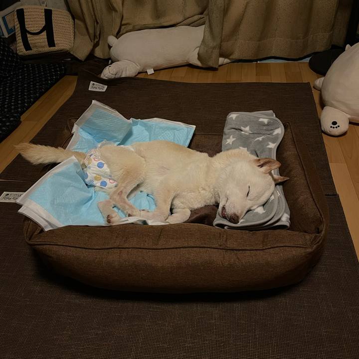 7f0bb1ec b68f 4c5f 8d73 2dac0f7d288f 1666188034720