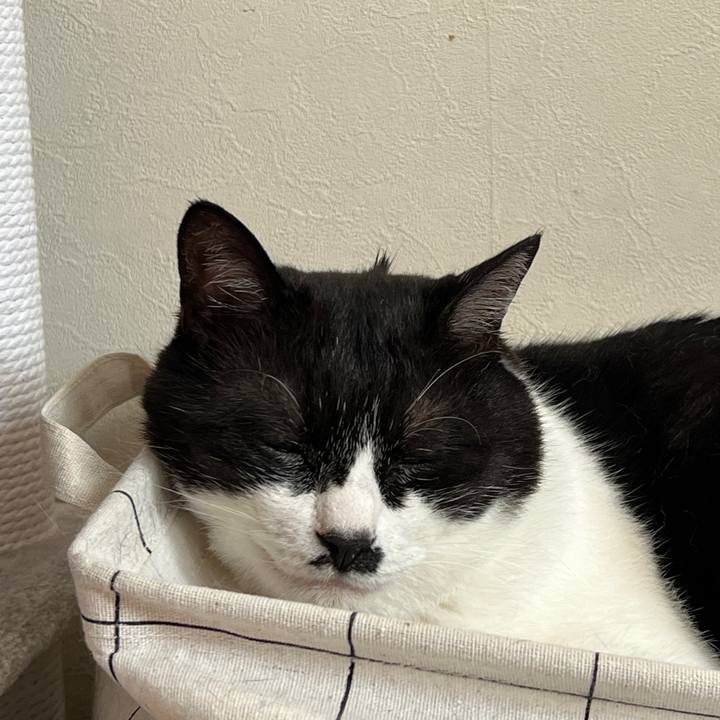 7f0bc34e ba08 4682 9685 0c2652b03f22 1695387685057