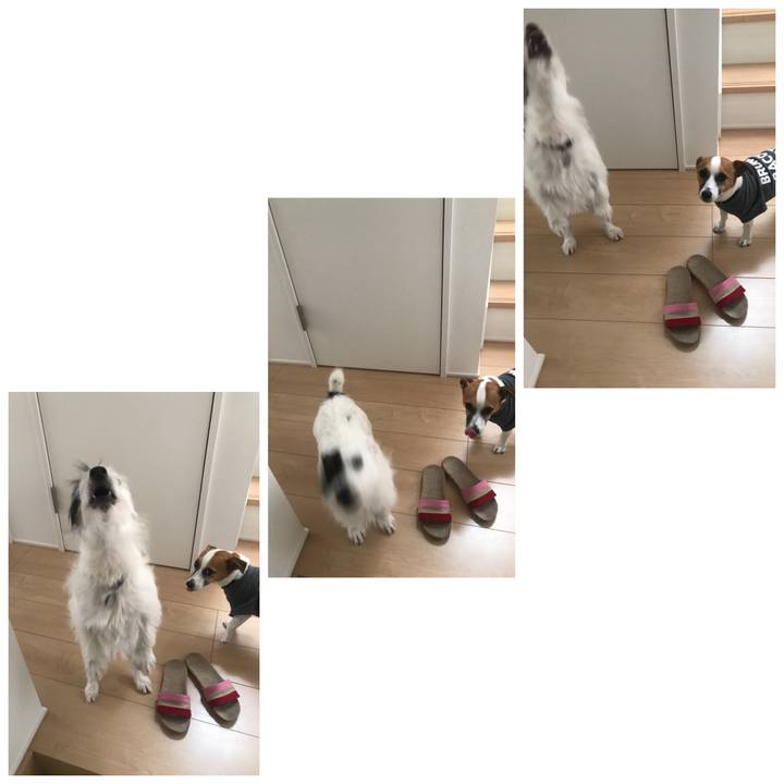 7f0bdee7 dd23 47a6 8772 e3102dcc7740 1534208780901