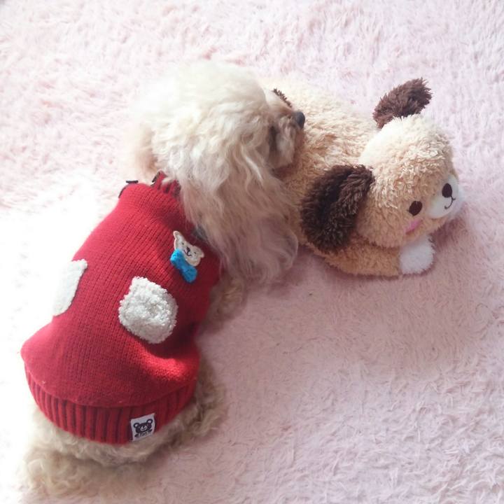 7f0c2c99 d7b0 4d7c b685 273cc0111409 1547186861362