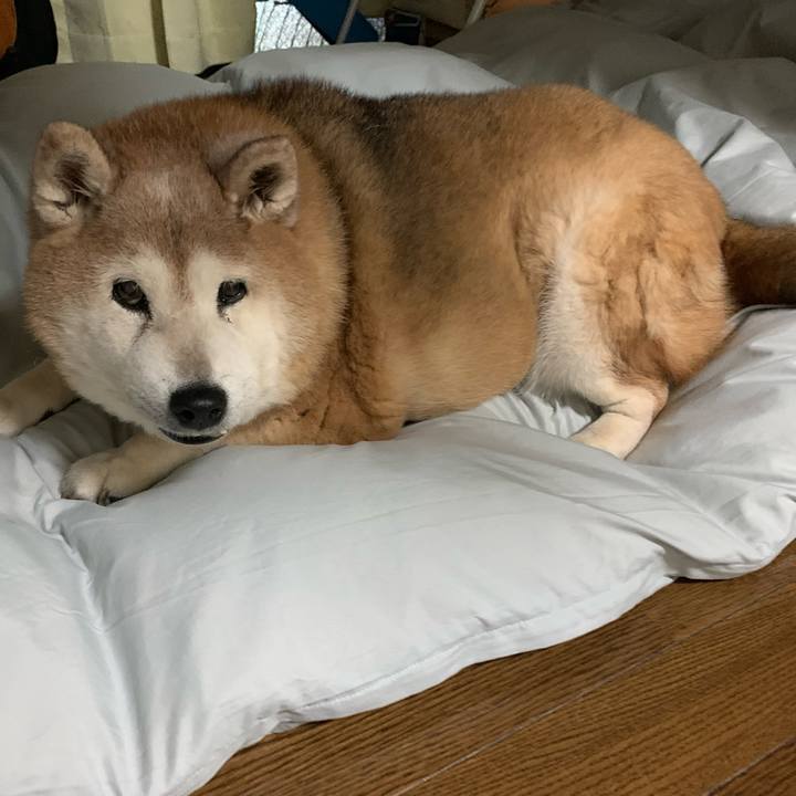 7f0c2ca1 17ad 4cf3 b1df 6aea56ecff5d 1649249431460